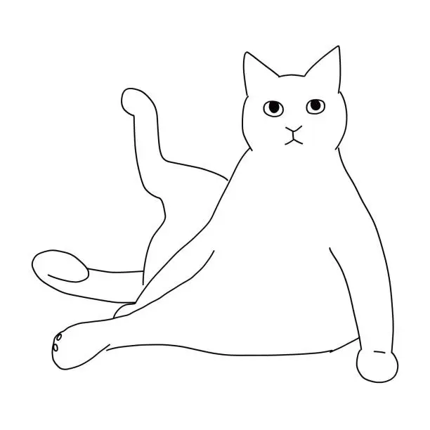 Vector illustration of Line drawing of a cat's whole body