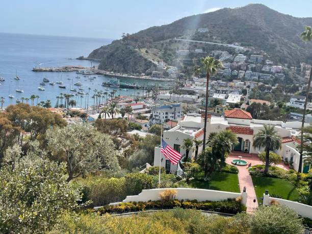 istock Catalina Island Adventure 1320979075