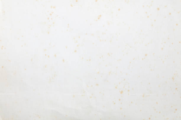 istock Old white paper with beige stains and filigree texture background 1320979543