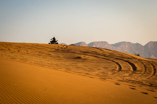 silhouette d’un quad vantant la dune de sable dans le désert au coucher du soleil, émirats arabes unis. - 4x4 desert sports utility vehicle dubai photos et images de collection
