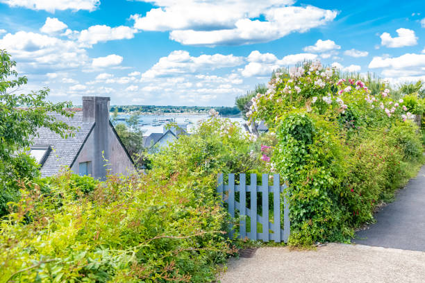 istock Brittany, Ile aux Moines island 1320982892