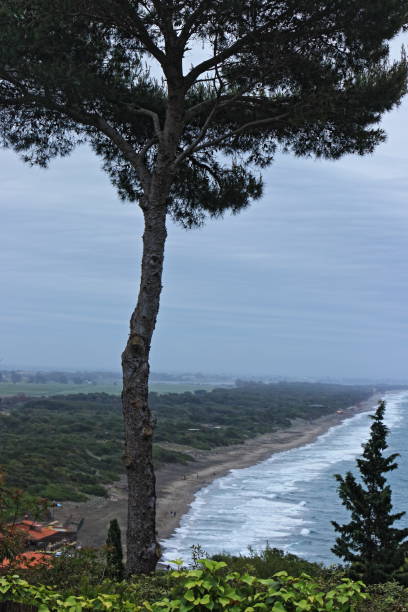 istock Ansedonia, a seaside resort in central Italy 1320983265