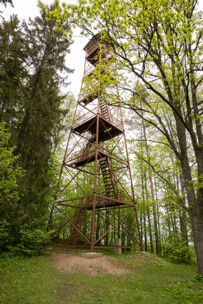 istock large observation tower is suitable for people to watch nature 1320984206