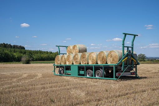 Large modern trailer with loaded bales of straw on a stubble field in sunny summer
