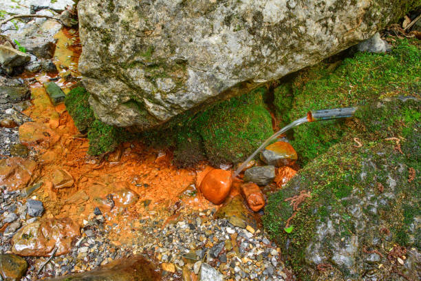 Ferruginous water source on the Italian Alps