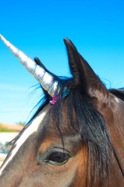istock Real Unicorn Horse 1320987832