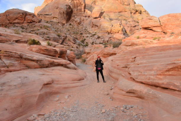 istock Distant Person On Trail In Desert 1320990552