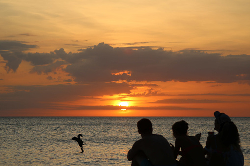 Silhouette of four young people sitting on the sand in front of an orange sunset. Bird in the water catching a fish