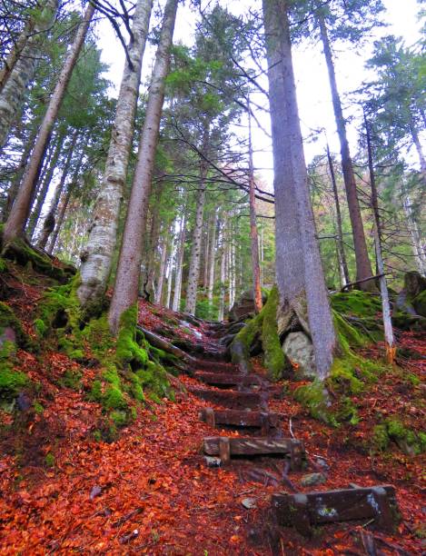 istock Val Nambrone in Trentino (Italy) 1320993452
