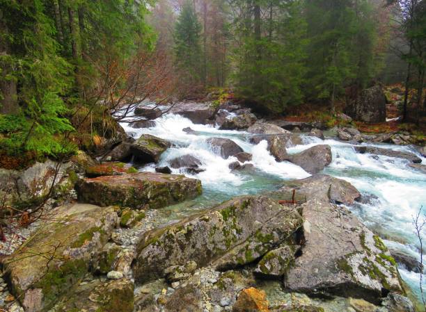 istock Val Nambrone in Trentino (Italy) 1320994187