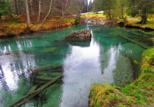 Nambrone Valley is a branch of the Campiglio Valley, which starts between Pinzolo and Sant'Antonio di Mavignola , a short distance from Madonna di Campiglio . The valley rises to the peaks of the Presanella group