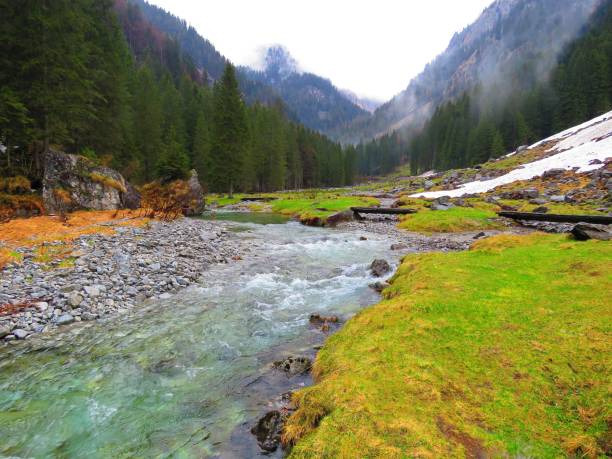 istock Val Nambrone in Trentino (Italy) 1320994367