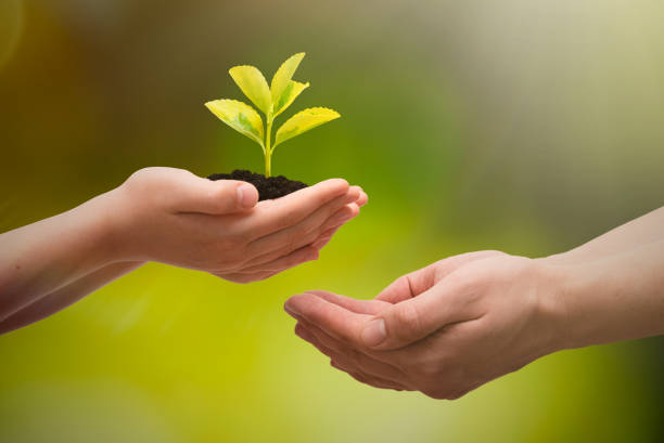 istock Earth day, environmental protection concept 1320996030