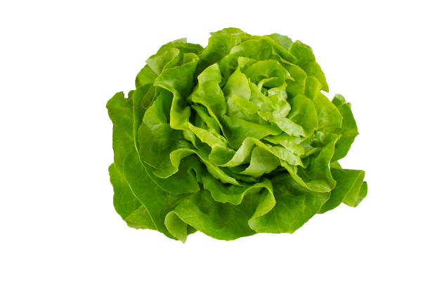 istock Green butterhead lettuce isolated on white background. 1320996974