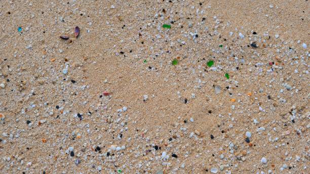 istock Smooth sand on a beach in Hawaii at waters edge with pieces of broken shells 1320997355