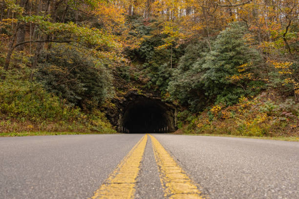 istock Road Level Angle Looking Toward Tunnel In Fall 1320999255