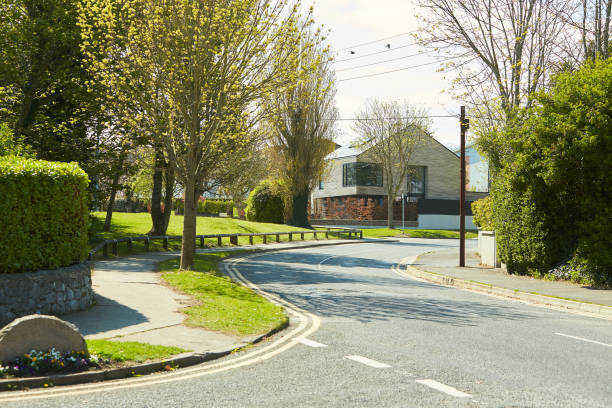istock Garden Drive way Lined by Plants and Flowers 1321000773
