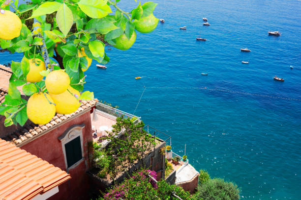istock Capri island, Italy 1321001538
