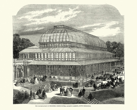 Vintage illustration. Conservatory in the Royal Horticultural Society's Gardens, South Kensington, 1861, 19th Century.