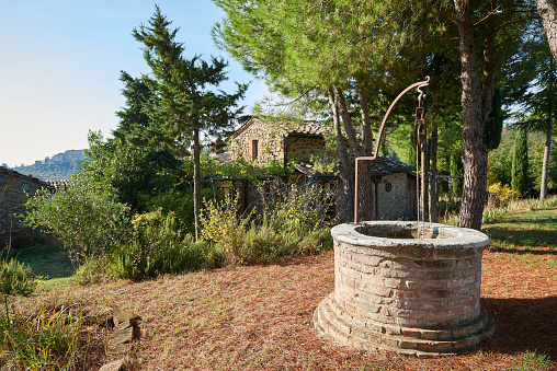 Traditional old stone well with rope placed next to green coniferous trees with antique rural buildings in background in sunny summer day