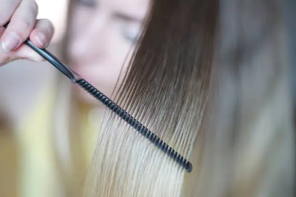 Photo of A lock of hair shatush close-up. The process of combing with a thin black comb