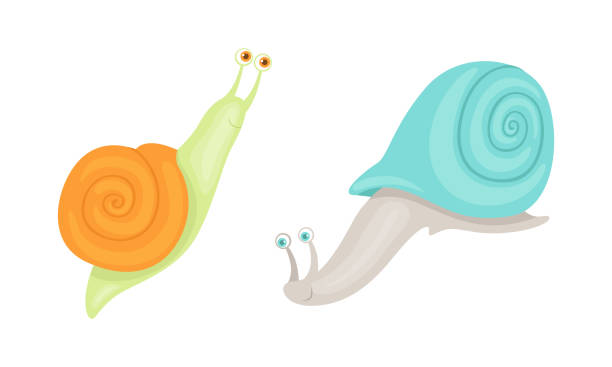 istock Cute Snails Set, Adorable Funny Mollusks Cartoon Vector Illustration 1321006257