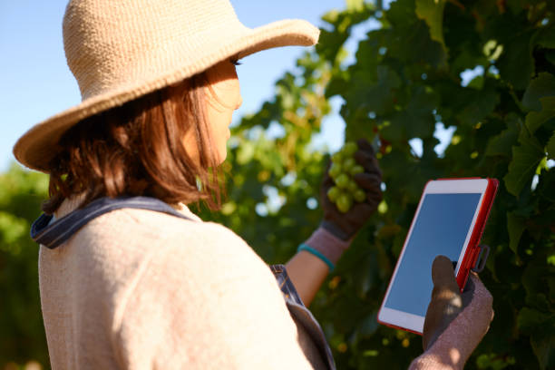 istock Shot of a young farmer using a digital tablet while outside in the vineyard 1321007759