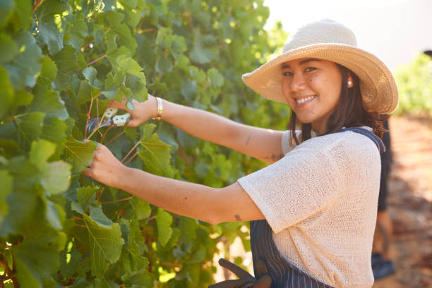 istock Shot of a farmer using pruning shears on her grapevines 1321007857