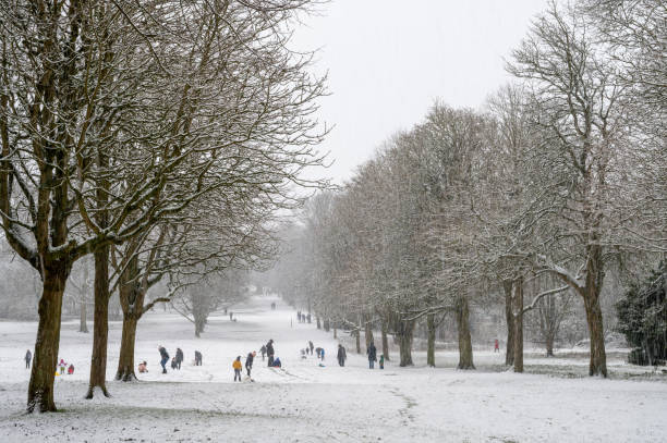 park śnieżny - letchworth garden city zdjęcia i obrazy z banku zdjęć