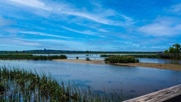 istock Interstate in Mobile and Alabama swamp landscape in summer 1321012224