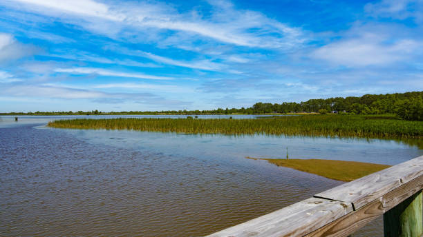 istock Interstate in Mobile and Alabama swamp landscape in summer 1321012249
