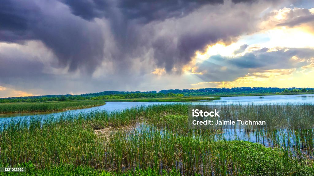 stormy sunset sky in Alabama swamp landscape in summer Meaher State Park in Mobile Bay, Alabama Alabama - US State Stock Photo