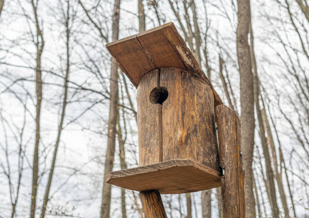 Birdhouse for birds in the forest close up.