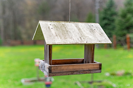 Closeup of a small wood birdhouse in a backyard at the beginning of Spring.
