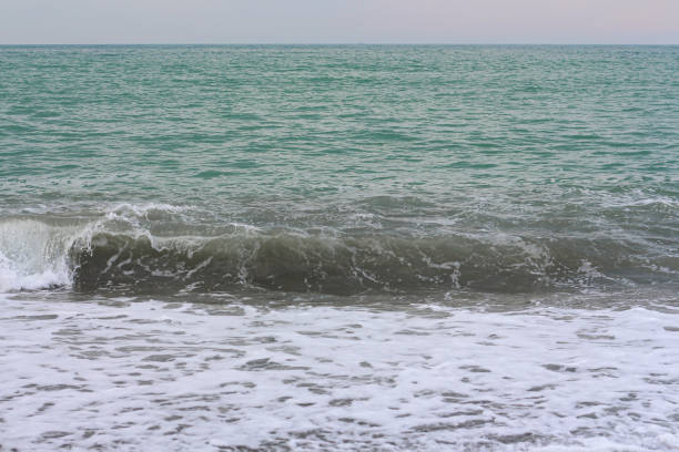 istock ocean or sea coast with waves 1321013586