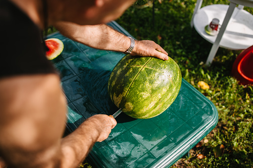 A close-up of a man cutting a watermelon on the summer day in his backyard