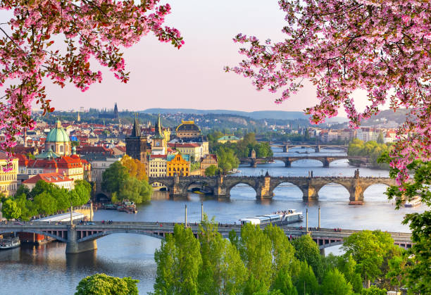Bridges over Vltava river in Prague at spring sunset, Czech Republic stock photo