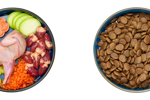 Natural raw dog food and kibble in bowls. Natural dog food versus kibble.