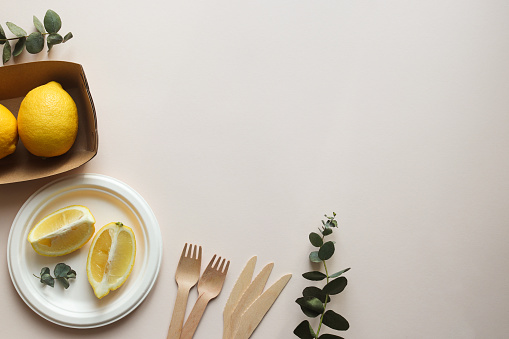 Eco-friendly disposable organic tableware. Knives, forks, plate, and paper bag with lemons. The concept of zero waste and recycling. Top view, copy space.