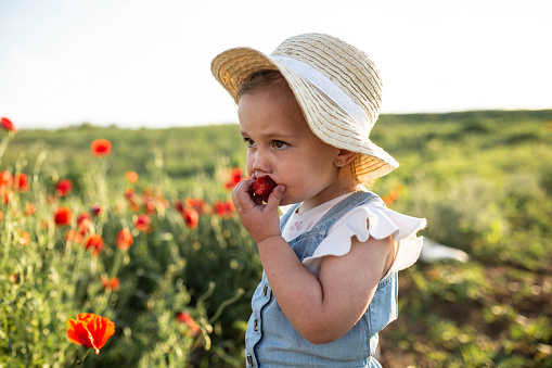 A little girl eats a strawberry in nature