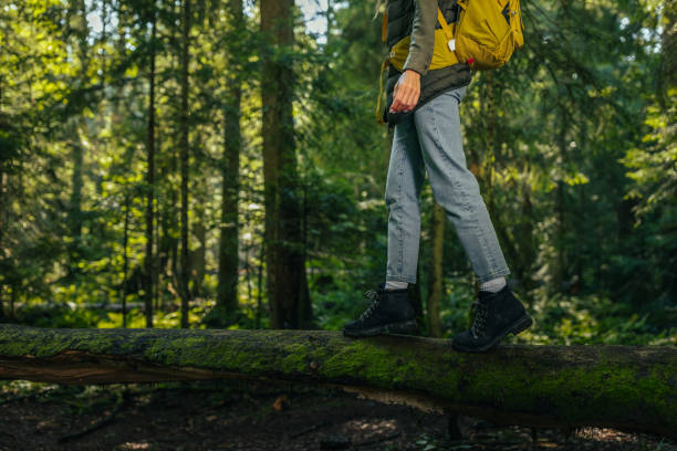 Free Stock Photo of Person Walking on Log in Woods | Download Free ...