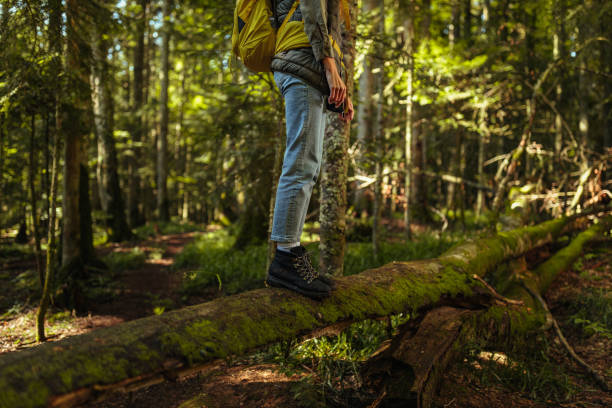 istock Young female hiker in her adventure through the forest 1321022730