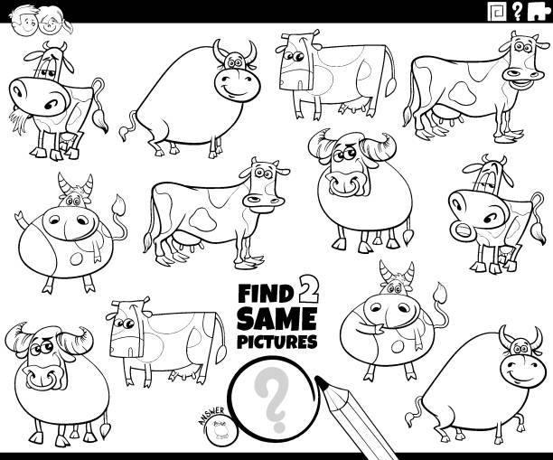 555 Bull Coloring Pages Illustrations & Clip Art - iStock