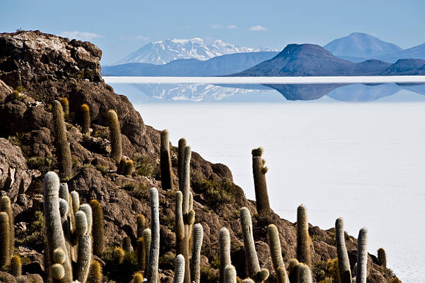 330+ Fotos, Bilder und lizenzfreie Bilder zu Insel Isla De Pescadores
