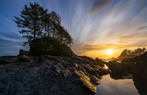 istock Botany Bay Port Renfrew 1321028226