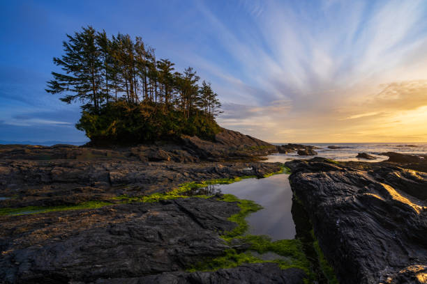 istock Botany Bay Port Renfrew 1321028238