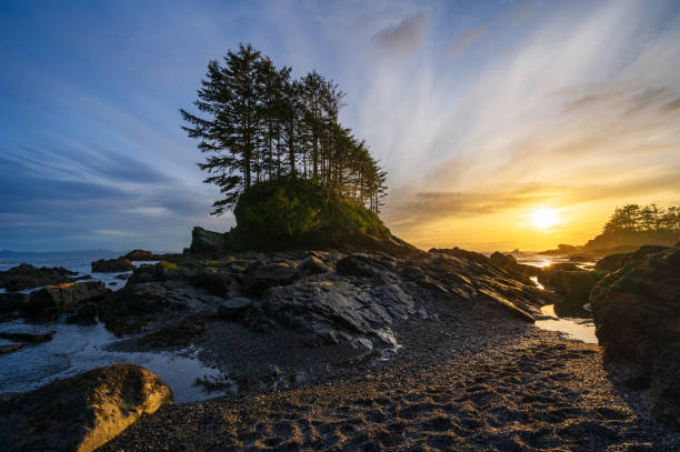 istock Botany Bay Port Renfrew 1321028248