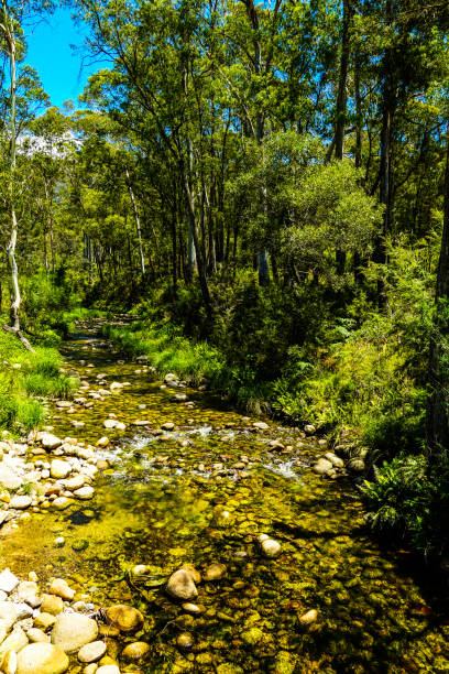istock Porepunkah, Victoria, Australia 1321029040
