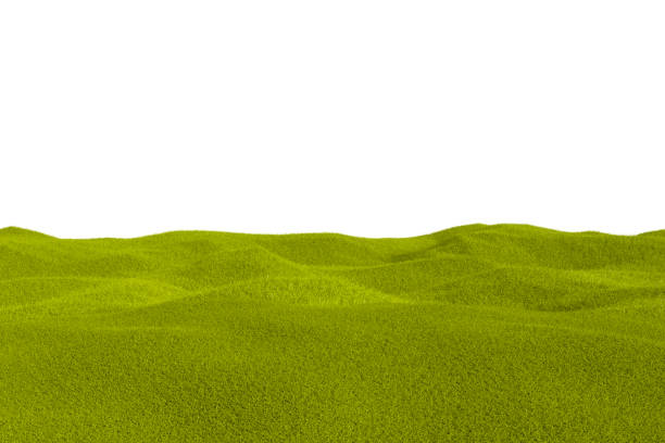 istock Green grass field isolated on a white background 1321030564