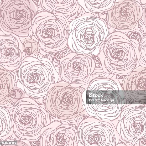 Pink Roses Bottom Line Pink Seamless Pattern With Roses Vector Line Art Illustration Stock ...